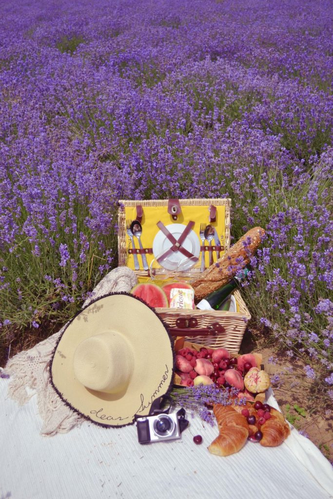 Picknick im Lavendel Feld